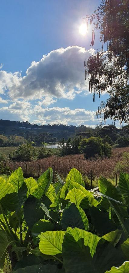 Vila Loft No Campo Proximo Ao Vale Dos Vinhedos Garibaldi Exteriér fotografie