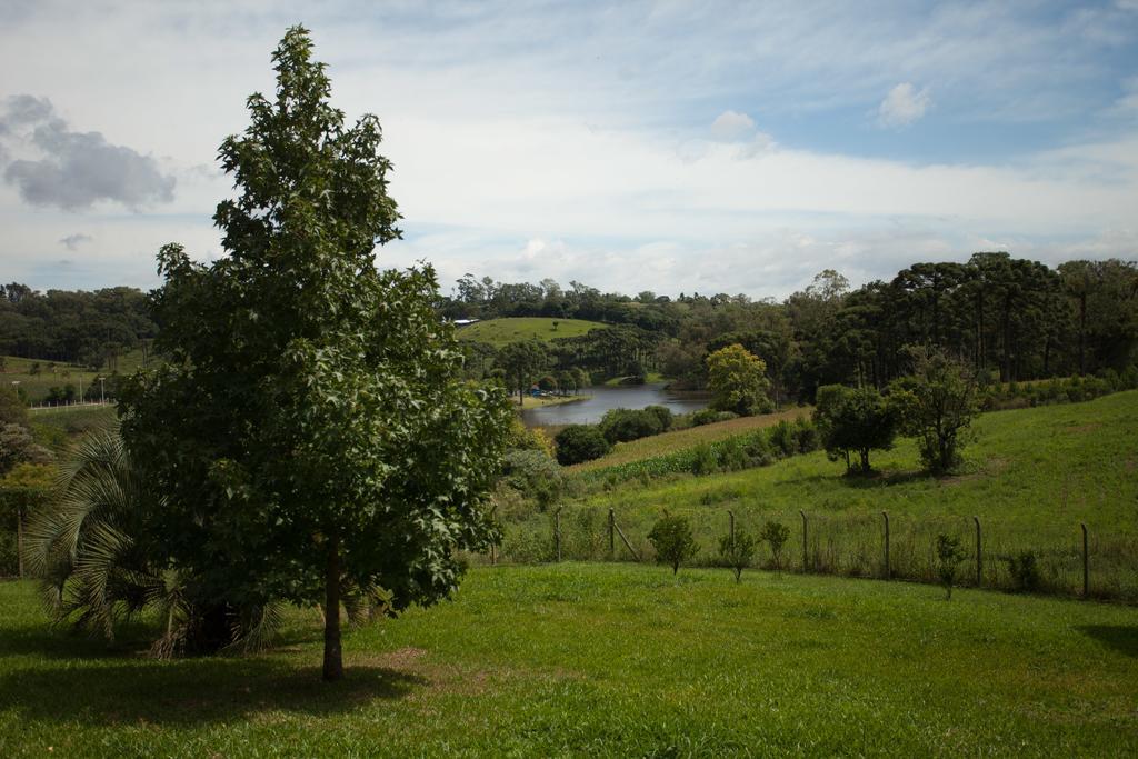 Vila Loft No Campo Proximo Ao Vale Dos Vinhedos Garibaldi Exteriér fotografie